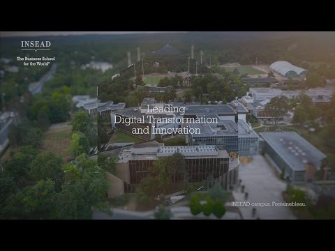 INSEAD Leading Digital Transformation and Innovation Programme