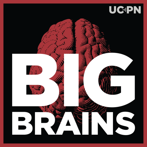 Big Brains Podcast Logo 2022